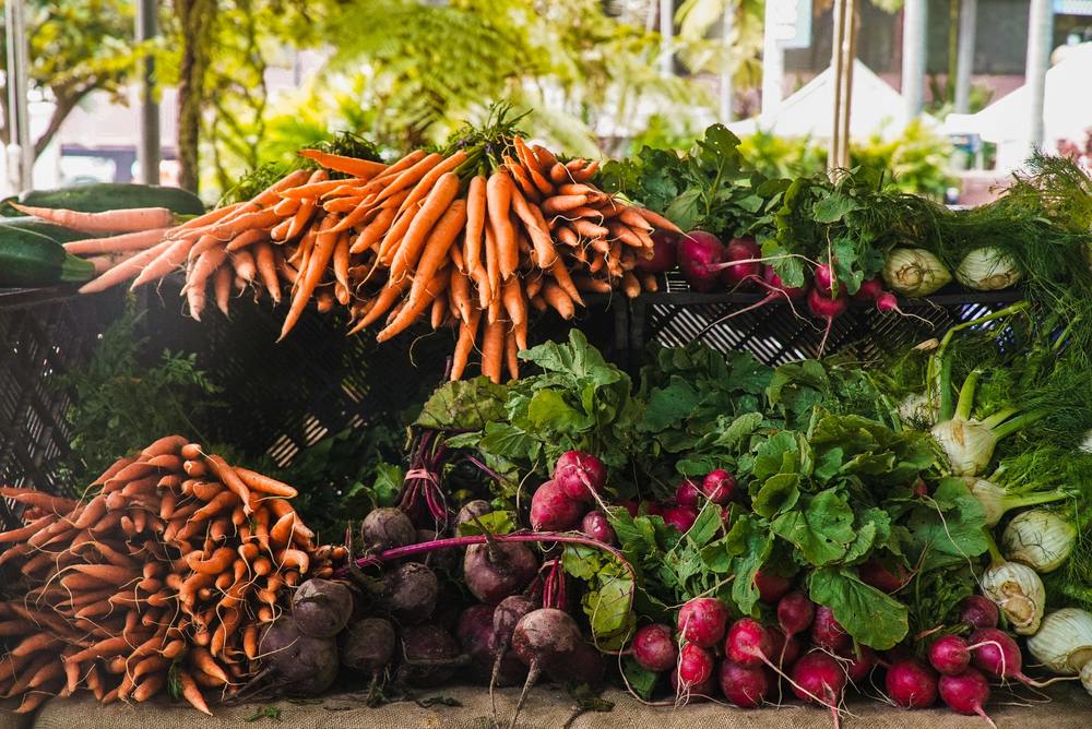 Variety of vegetables