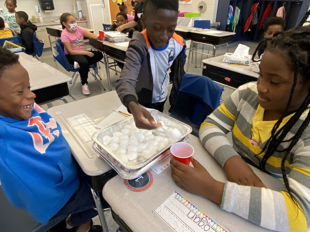 Scientific experiment fun!